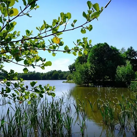 Holiday home Characterful Yorkshire Cottage, Beautiful Views