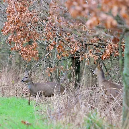 Holiday home Characterful Yorkshire Cottage, Beautiful Views *