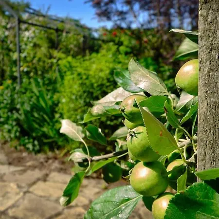 Characterful Yorkshire Cottage, Beautiful Views * York
