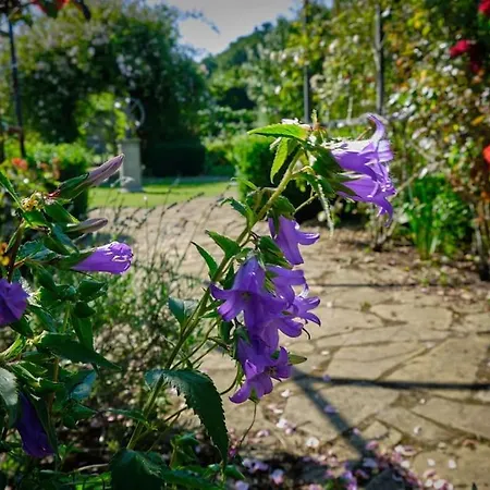 Characterful Yorkshire Cottage, Beautiful Views Holiday home *